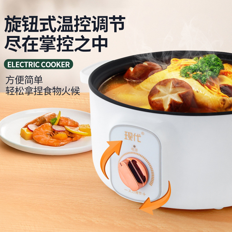 Wielofunkcyjny Mini Elektryczn – Kitchen Appliances For Cooking recenzja i cena